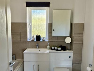 Picture 19